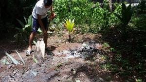 Unearthing the chicken pibil.