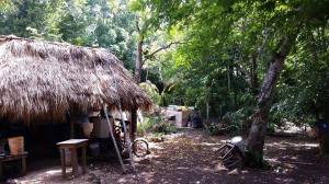 My teacher x-Linda's house