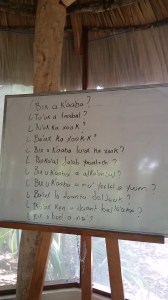 A little survey to fill out about myself. 